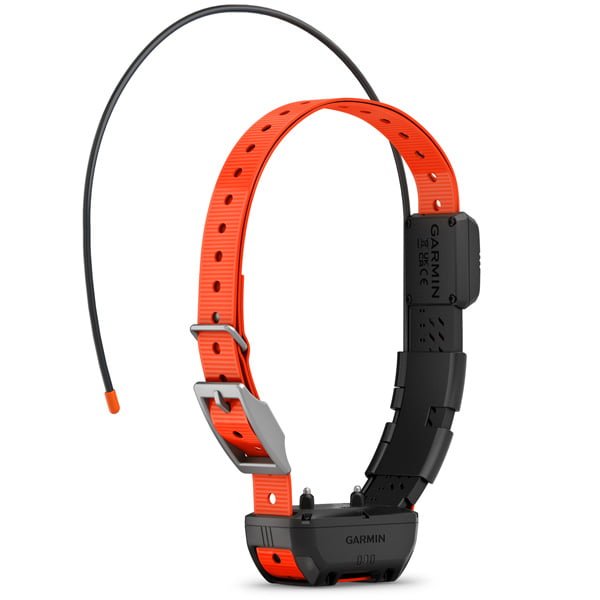 Garmin Alpha TT 25 Dog Collar