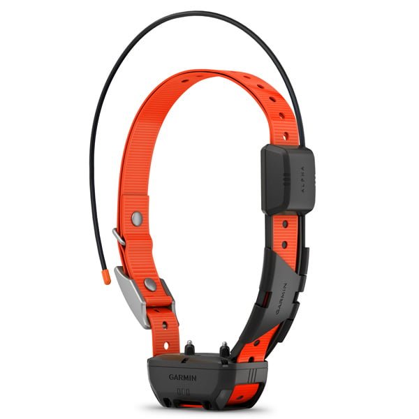 Garmin TT 25 Dog Collar