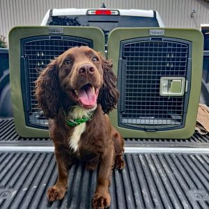 Dakota 283 G3 Medium Kennel