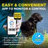 Dogtra Smart NoBark