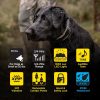 Dogtra 1900X 1 Dog Unit