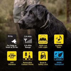 Dogtra 1900X 1 Dog Unit
