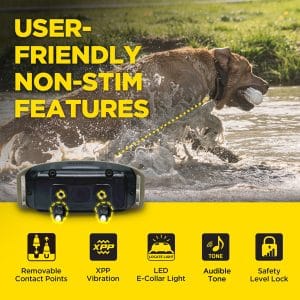 Dogtra 1900X