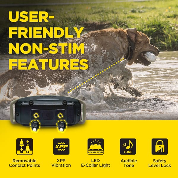 Dogtra 1900X
